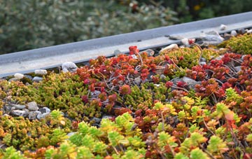 the cost of The Town green roof installation