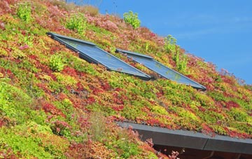 The Town living roof systems