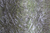 The Town fibreglass roof work