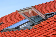 The Town roof window